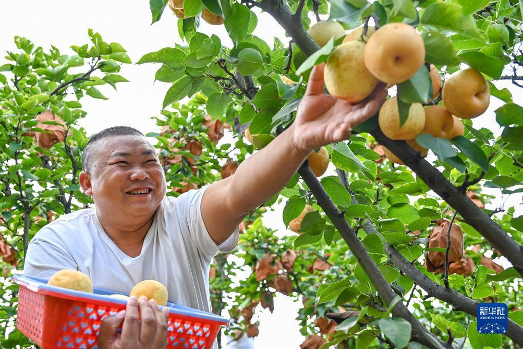 皇冠ag软件